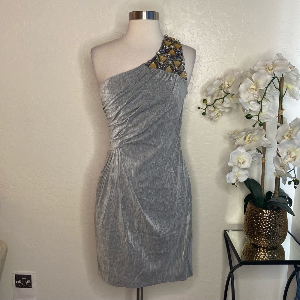 Hoaglund Women Beaded Iris One Shoulder Silver